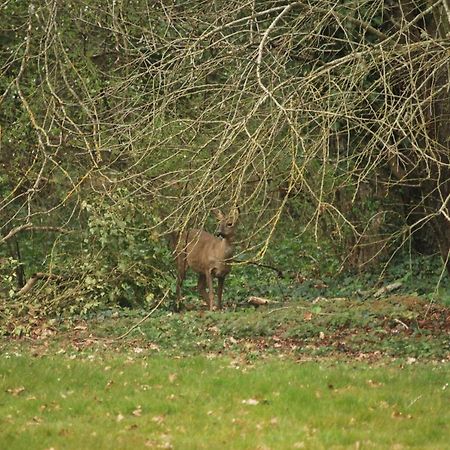 Cosne-sur-Loire Le Nid De Dany Bed & Breakfast エクステリア 写真
